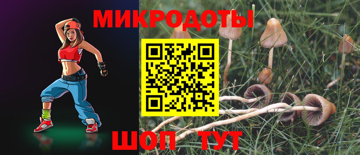 Псилоцибиновые грибы Psilocybine cubensis Жуковский