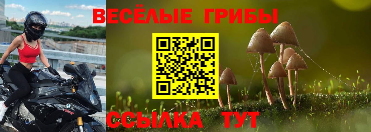 Псилоцибиновые грибы мицелий  Галлюциногенные грибы мухоморы  Вход с VPN  Жуковский 